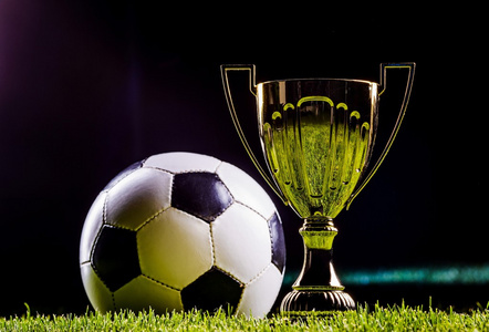 组的一部分 组的一部分