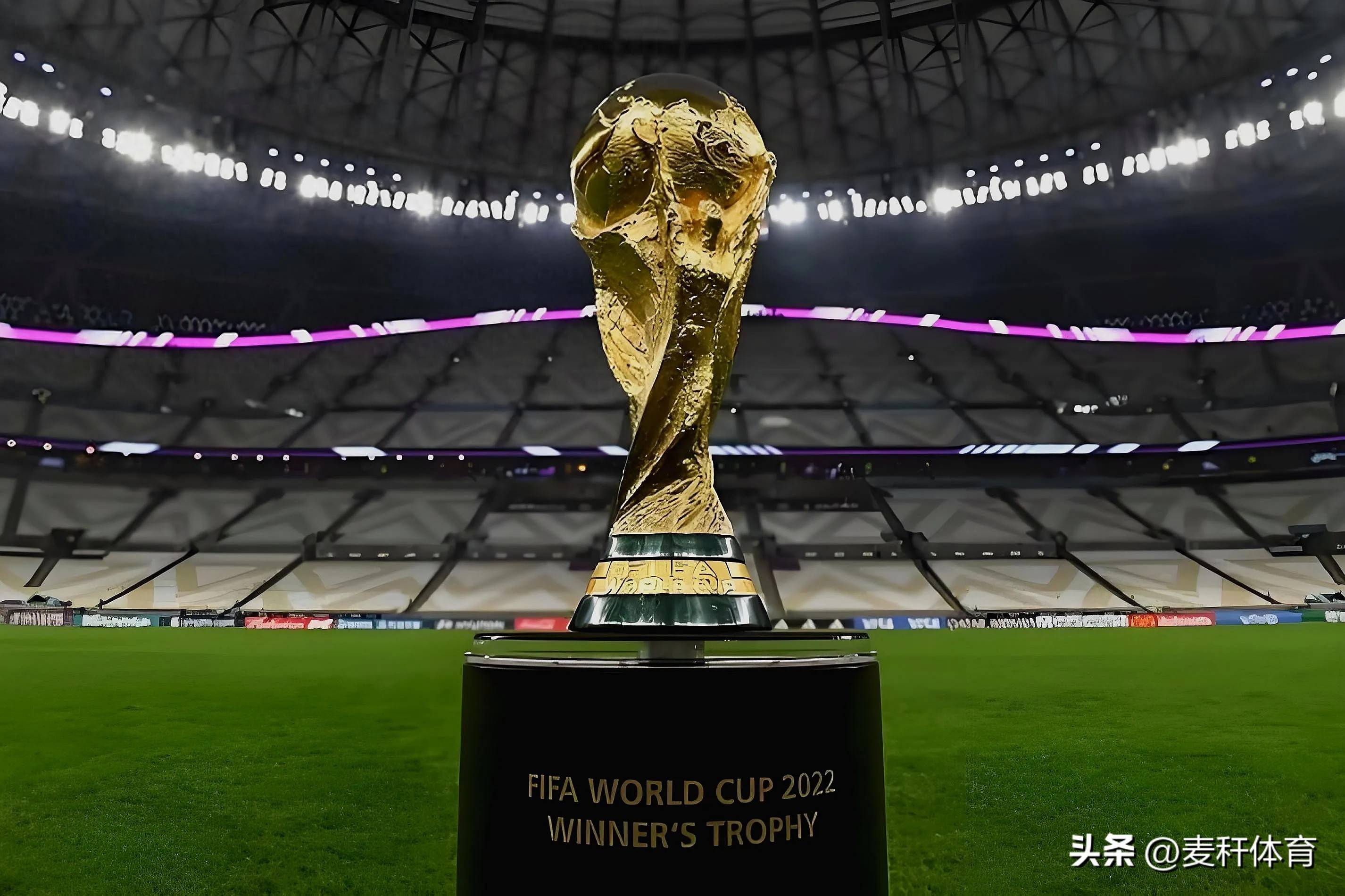 合作的潜力 合作的潜力