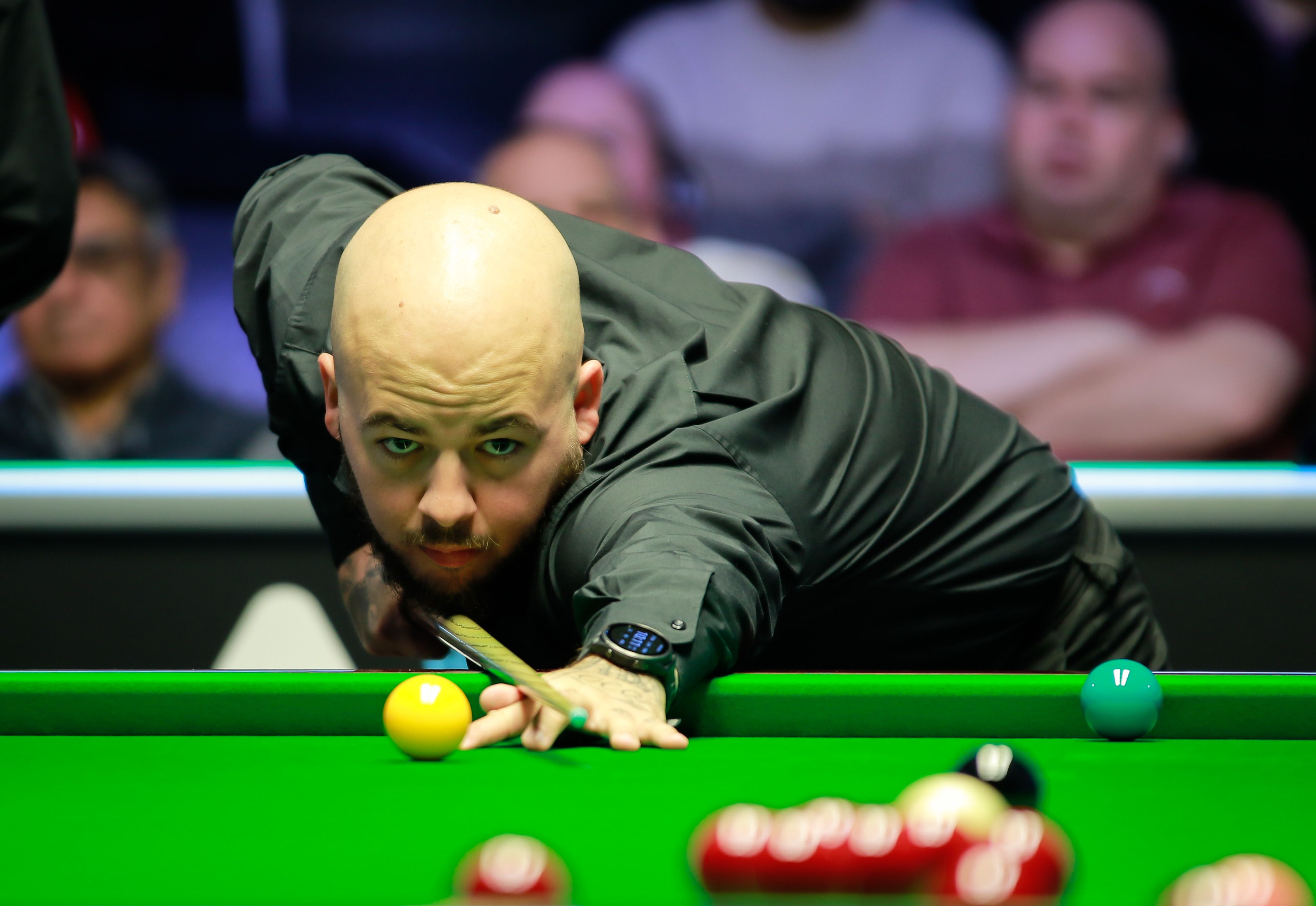 的可持续性 的可持续性