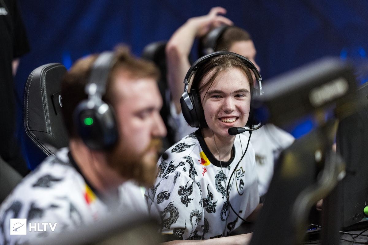 老鹰茶的鲜 老鹰茶的鲜